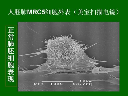 米乐|米乐·M6(中国游)官方网站