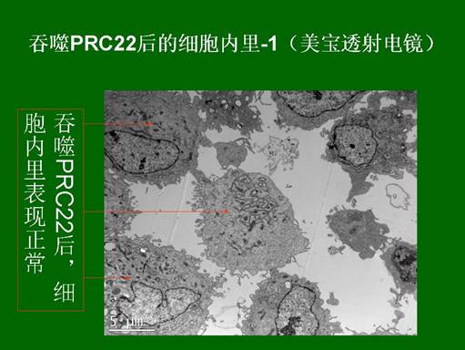 米乐|米乐·M6(中国游)官方网站