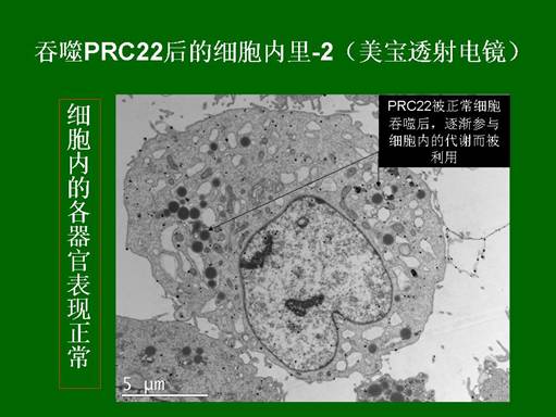 米乐|米乐·M6(中国游)官方网站
