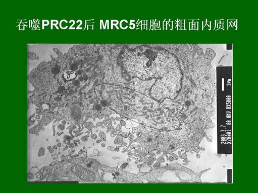 米乐|米乐·M6(中国游)官方网站
