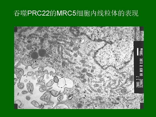 米乐|米乐·M6(中国游)官方网站