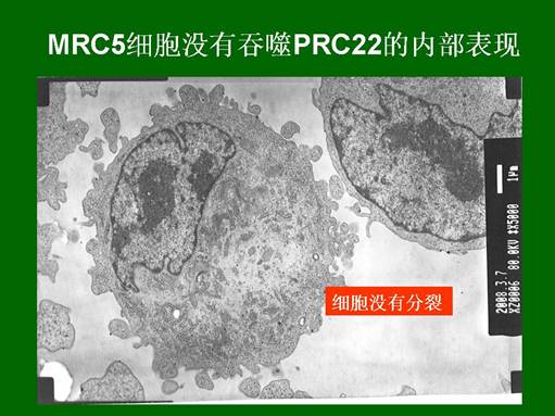 米乐|米乐·M6(中国游)官方网站