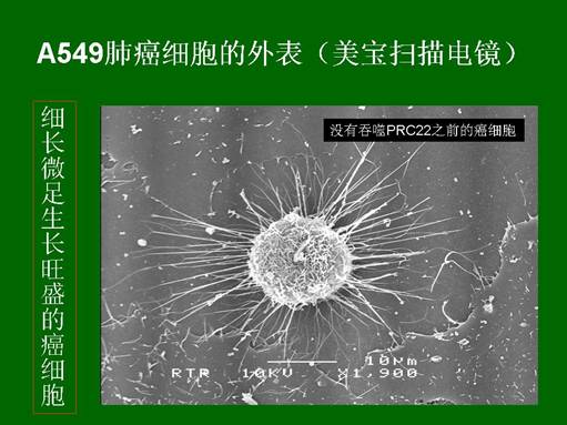 米乐|米乐·M6(中国游)官方网站