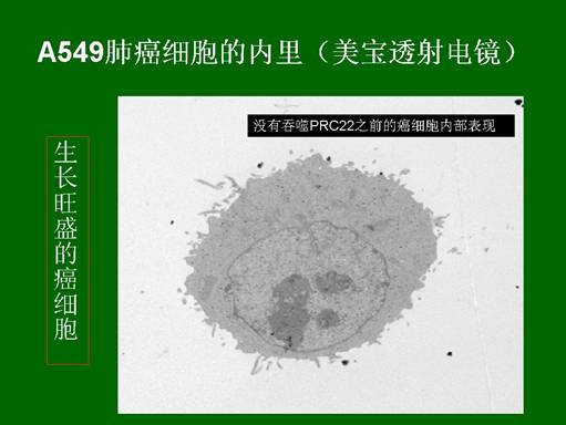 米乐|米乐·M6(中国游)官方网站