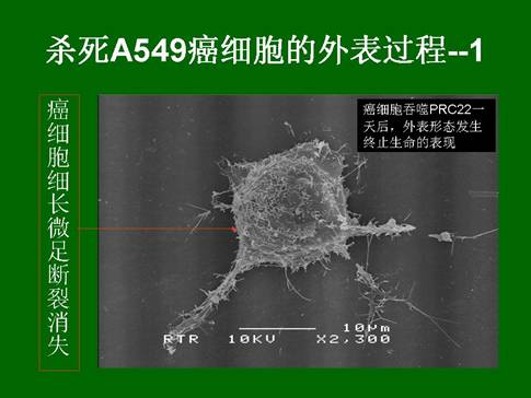 米乐|米乐·M6(中国游)官方网站