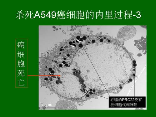 米乐|米乐·M6(中国游)官方网站