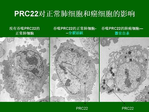 米乐|米乐·M6(中国游)官方网站