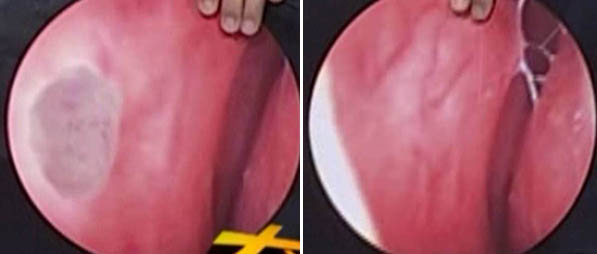 米乐|米乐·M6(中国游)官方网站