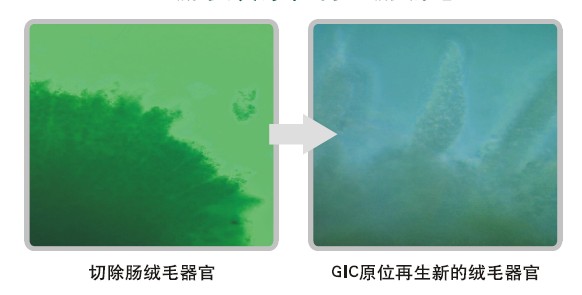 米乐|米乐·M6(中国游)官方网站