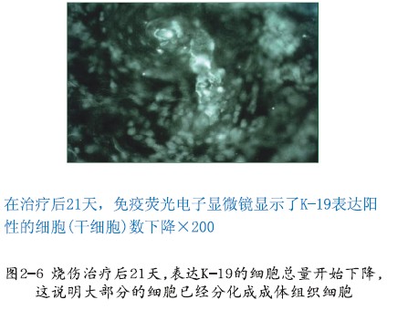 米乐|米乐·M6(中国游)官方网站