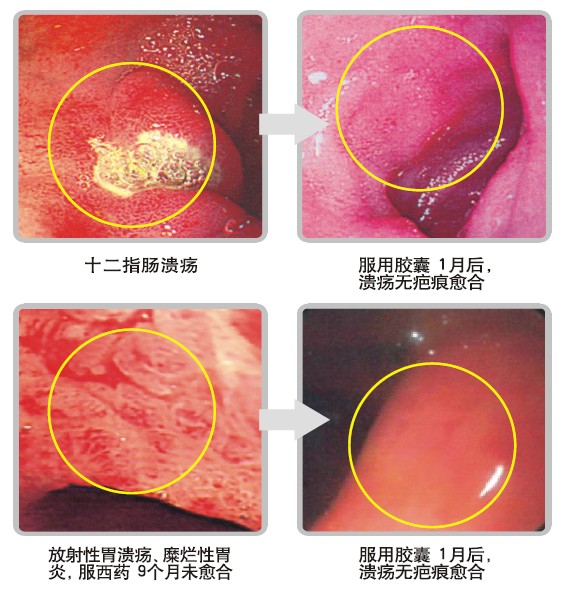 米乐|米乐·M6(中国游)官方网站