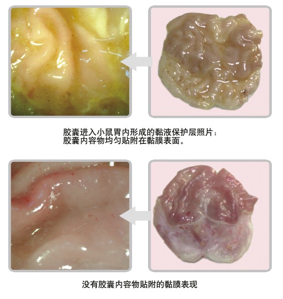 米乐|米乐·M6(中国游)官方网站