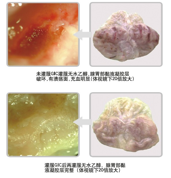 米乐|米乐·M6(中国游)官方网站