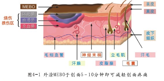 米乐|米乐·M6(中国游)官方网站