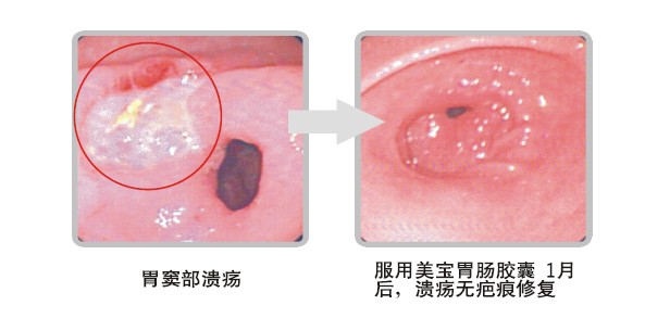 米乐|米乐·M6(中国游)官方网站