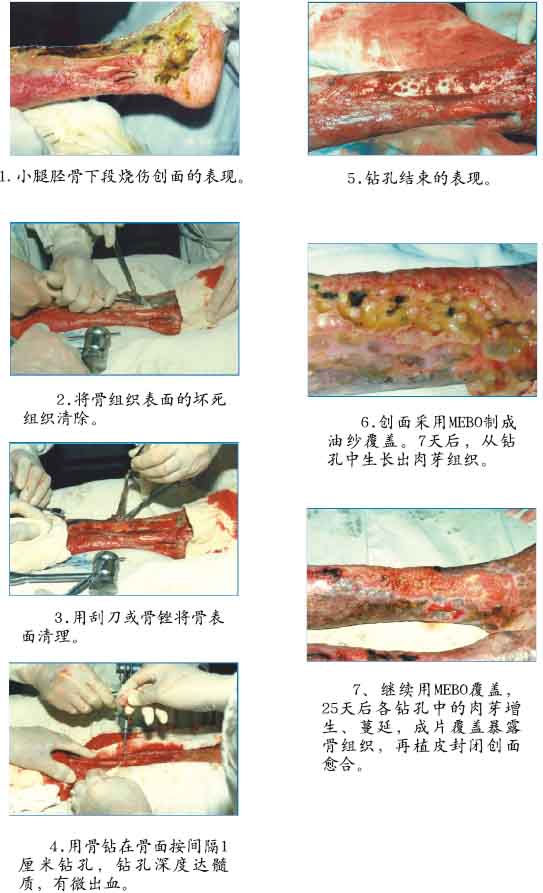 米乐|米乐·M6(中国游)官方网站