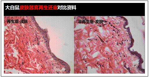 米乐|米乐·M6(中国游)官方网站