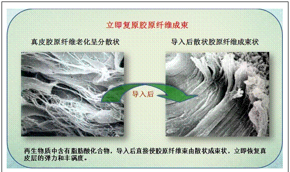 米乐|米乐·M6(中国游)官方网站
