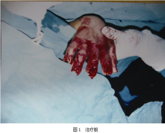 米乐|米乐·M6(中国游)官方网站