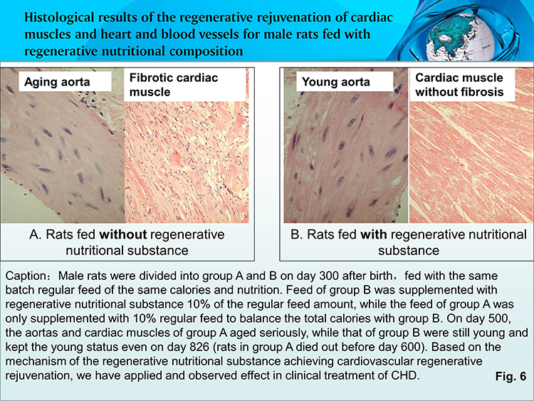 米乐|米乐·M6(中国游)官方网站
