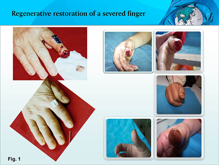 米乐|米乐·M6(中国游)官方网站