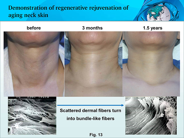 米乐|米乐·M6(中国游)官方网站
