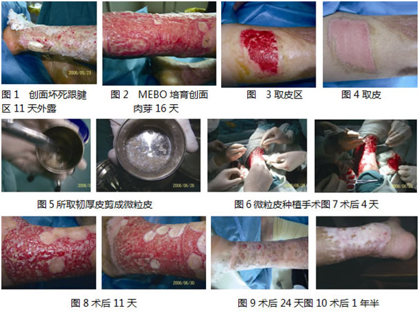 米乐|米乐·M6(中国游)官方网站