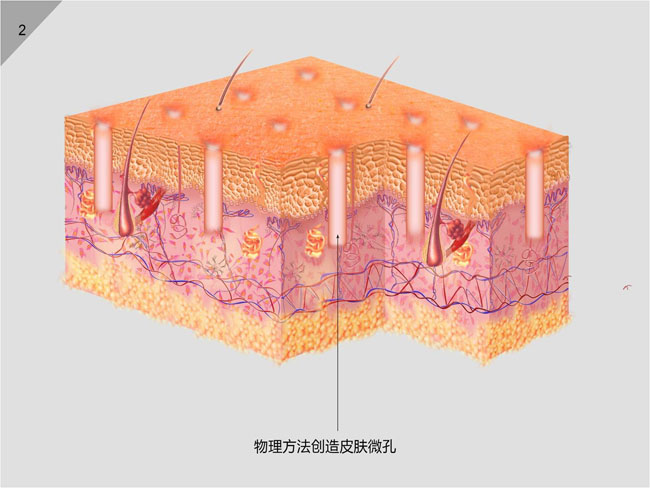 米乐|米乐·M6(中国游)官方网站
