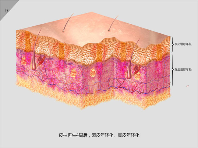米乐|米乐·M6(中国游)官方网站