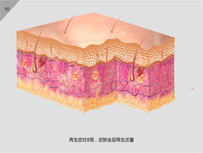米乐|米乐·M6(中国游)官方网站