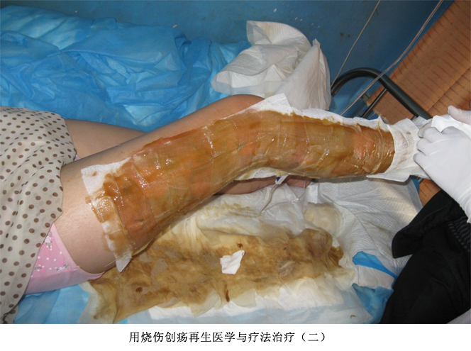 米乐|米乐·M6(中国游)官方网站