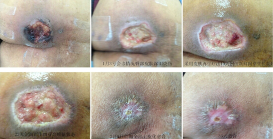 米乐|米乐·M6(中国游)官方网站