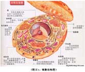 米乐|米乐·M6(中国游)官方网站